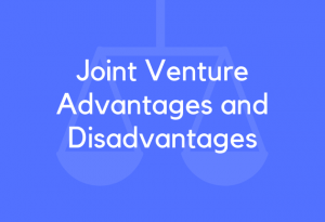 Joint Venture (liên doanh)